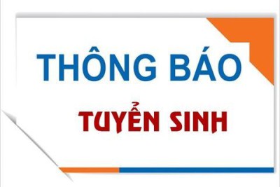 Thông báo tuyển sinh lớp 6 năm học 2022-2023