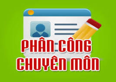 Phân công chuyên môn Học kì I (từ 11/11/2024)